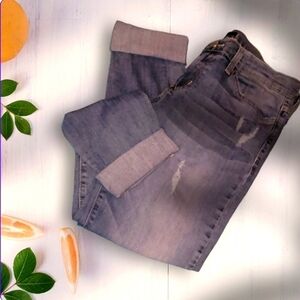 Flying Monkey Distressed Skinny Jeans